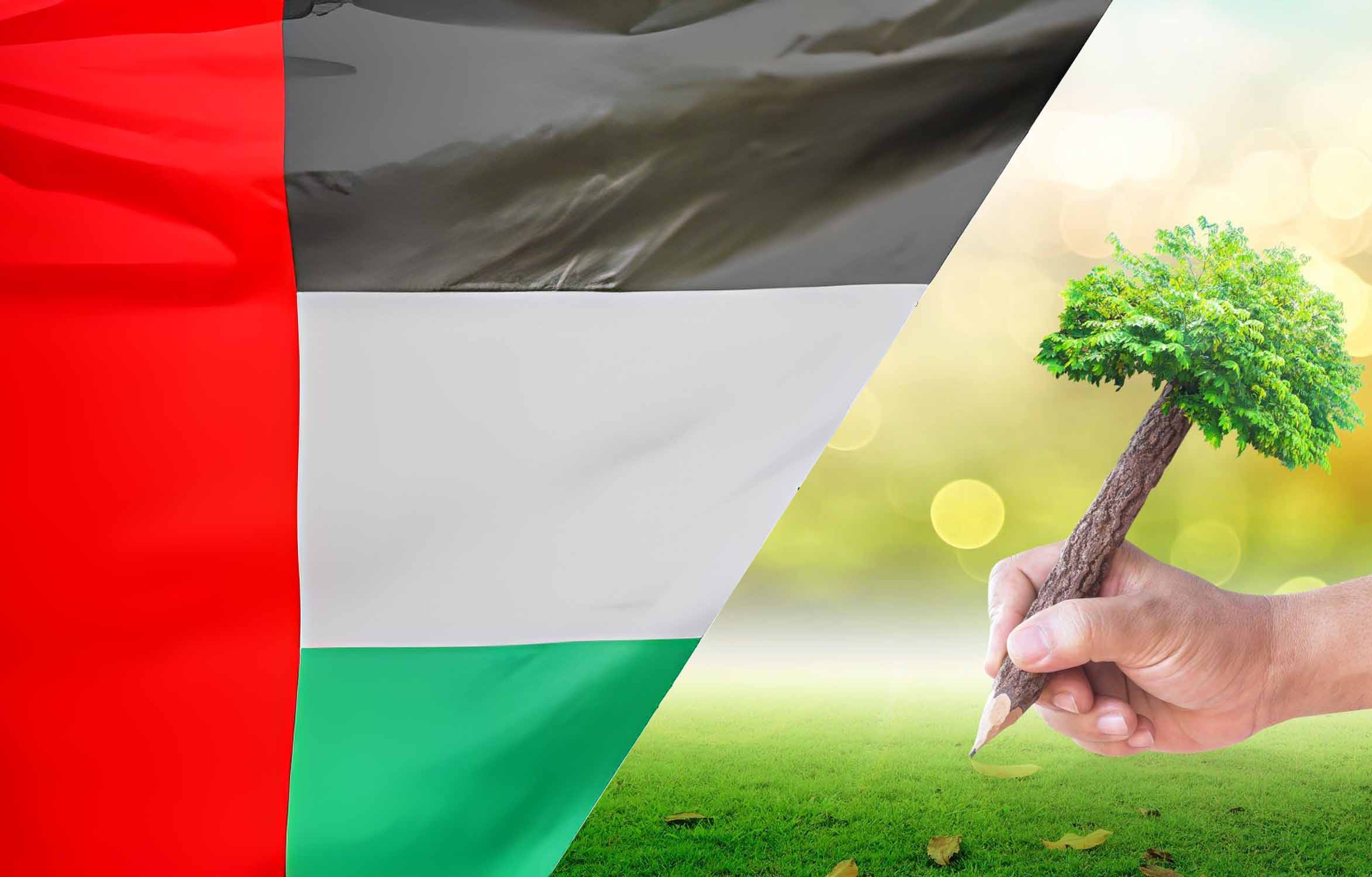 Sustainability Reporting Best Practices for Companies in UAE